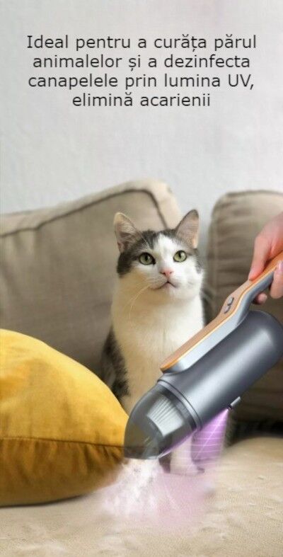 Aspirator auto sau de uz casnic, 2 in 1, putere mare de aspiratie, cu multiple perii, portabil, fara fir, anti-acarieni, lumina UV, filtru, 80W, 13000 Pa, acumulator 3000 mAh, Albastru - imagine 4